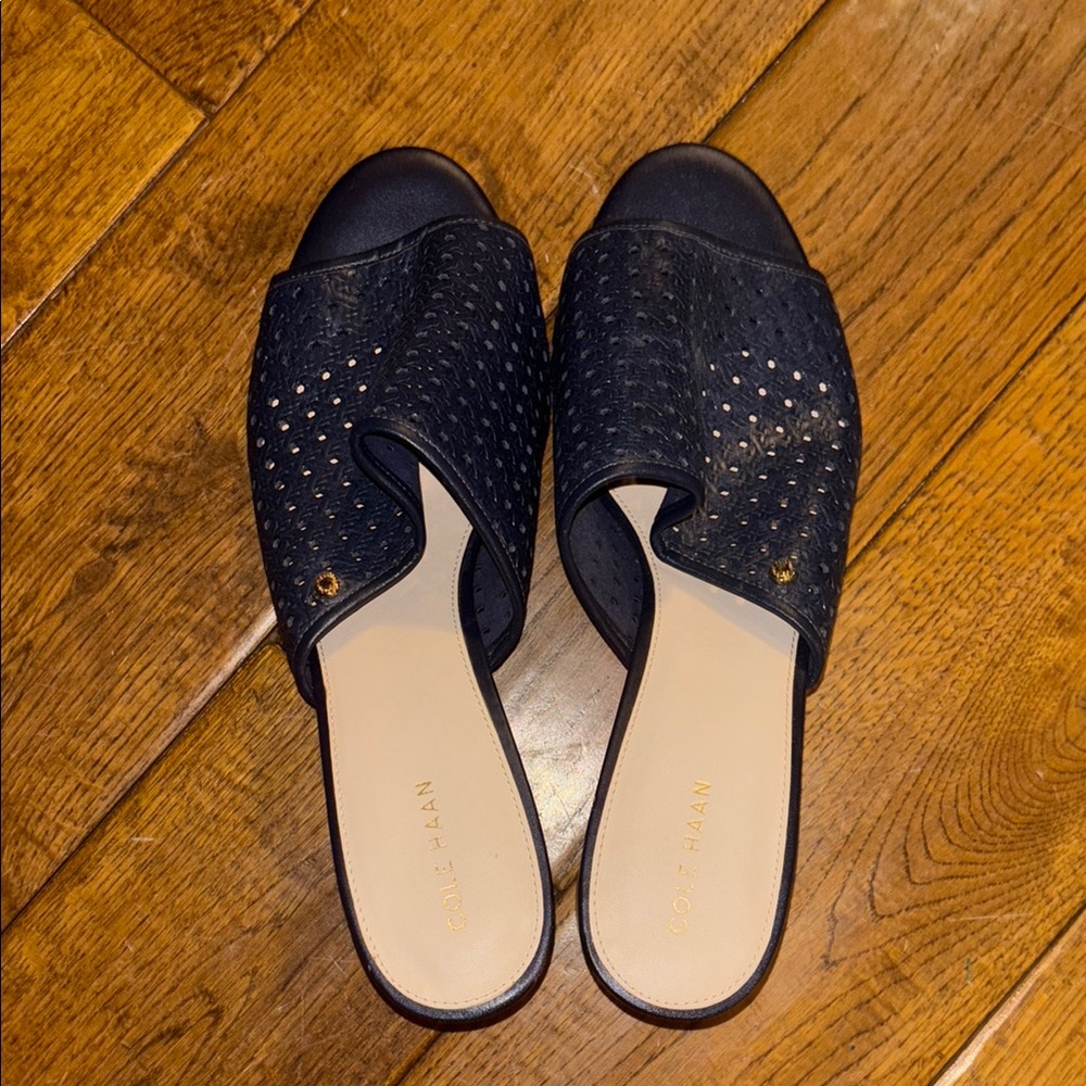 Cole Haan Women's Blue Perforated Mules